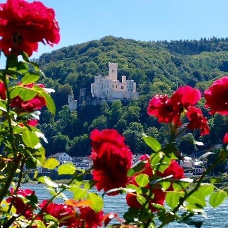 Villa Lahr Lahr  Eksteriør billede